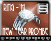 [S] New Year Promise - M