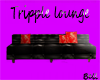 Tripple lounge