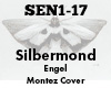 Silbermond Engel Cover