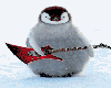 Rocking Penguin