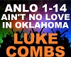 Luke Combs - Ain't No