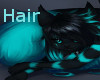 Hub Cat  Hair