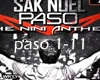 SAK NOEL- paso(club mix)