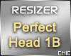 PERFECT HEAD RESIZER F/M