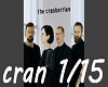 the cranberries why