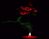 Candle Smoke Red Rose