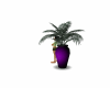 Purplev  Vase