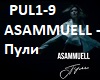 ASAMMUELL-puli