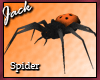 Creepy Halloween Spider