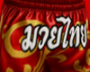 Thai boxing