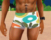 Retro Swim Shorts 2