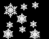 B*Snowflakes