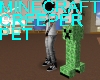 MineCraft Creeper Pet