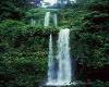 A Maui Waterfall