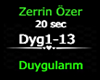 Zerrin Özer - ♬