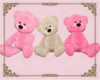 A: Teddy seat pink cream