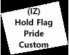 Flag Pride Colors Custom