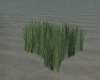 Sea grass animated