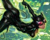 (LFD)Catwoman Pillow