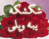 (shfayf) yeba-welly