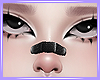 Bandita