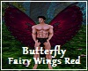Butterfly Fairy Wings 