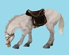 CK  Ranch  Horse  2