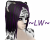 ~LW~Black&PurpleWindy