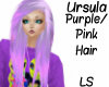 Ursula Purple/Pink 