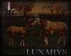 deer 2