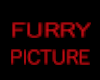 Furry Pic. 10 {KN}