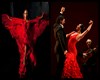 Fondo Flamenco 