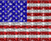 Sparkle flag-US