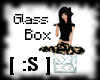 [ :S ] Glass Box