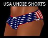 USA Shorts Undies