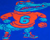 Florida Gators shirt	