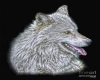 Silver&White wolf club