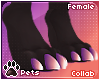 [Pets] Ailva | feet