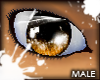 (AA)M-Mango-eyes