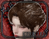 Enchanted Veil Hair v5