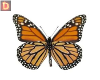 {DP} Monarch Butterflies