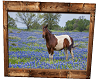 Texas Flower Horse