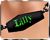 (JD)Lilly-Coffin