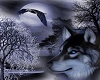 soul of thewolf