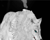 ! White Wolf L !