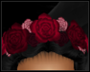 Pink/Maroon Roses Crown