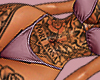 ☆ Belladona T3