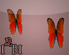 two butterflies