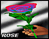 !ME CHANGING HAND ROSE