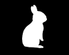 ✦ Black Bunny ✦